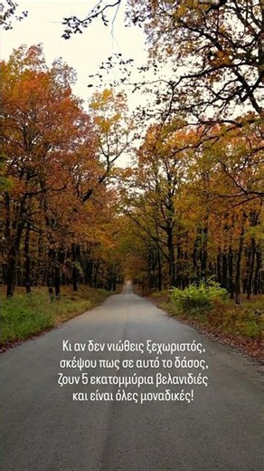 Δάσος της Φολόης στην ορεινή Ηλεία !