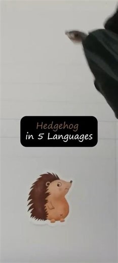 Hedgehog in 5 Languages ✍️🌍 | Handwriting Language #Shorts