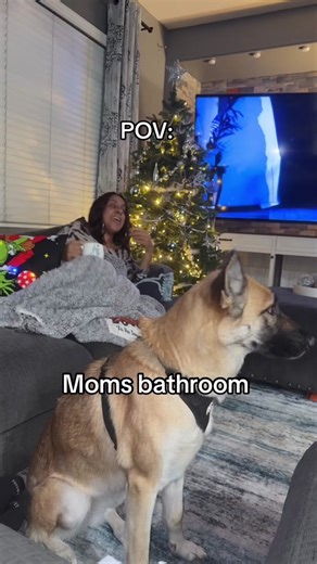 Moms' Bathroom Secrets: A Funny POV Experience