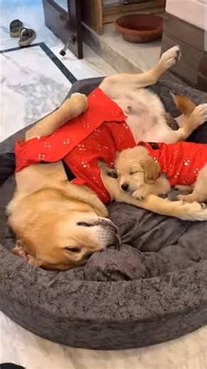 Memorable days in life ‪@AnantRastogi‬ #shorts #viral #trendingshorts #anantrastogi #shortsfeed