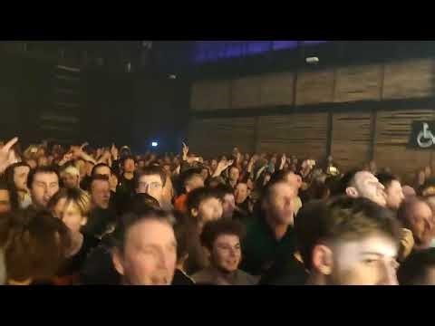 les wampas-manu chao