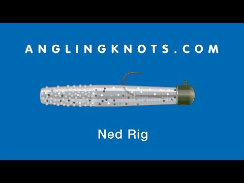 How To Tie The Ned Rig