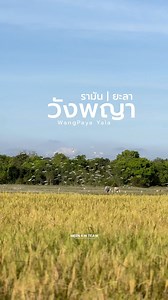 Unseen Kampong WangPaya Di Yala สถานที่เที่ยว หมู่บ้านวังพญา | ยะลา | Meen Kin Teaw มีนกินเที่ยว