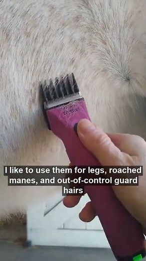 Using clipper combs or clipper guards while body clipping your horse.
