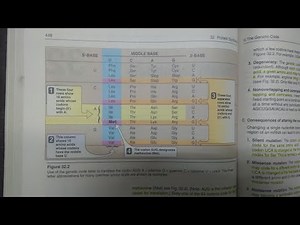 Overview of Codons and Different Types of Mutations - BIOCHEMISTRY