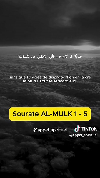 Récitation Imam Feysal Mohamed | Sourate Mulk | Verset 1 - 5 #quran_alkarim #quranrecitation #quranvideo #islamic_video #islamic_media