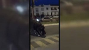 92K views · 1.8K reactions | Hippo on the loose! The curious beast...