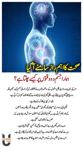 Scientists Discover Hidden Second Body Clock That Controls Energy and Disease Risk