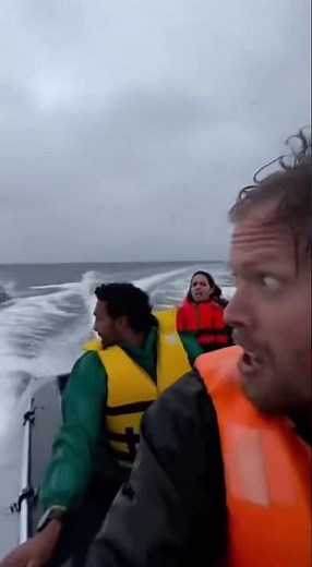 Boat Crew Terrified by Siren Pack at Sea 🌊😱 (Real Footage)