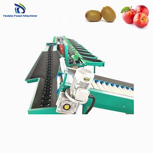 [Hot Item] Advanced Precision Tomato Sorting and Grading Equipment for Optimal Quality