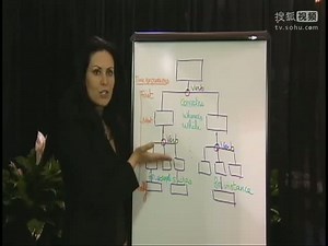 03 TOEFL TV Tips - Using a diagram