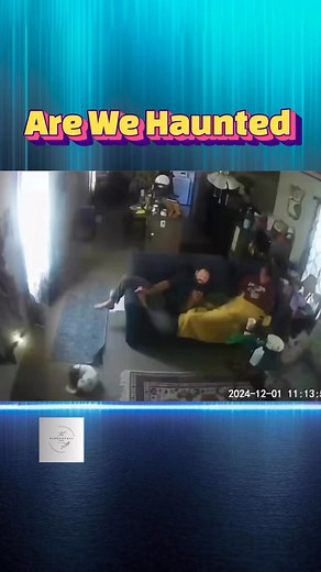 5.6K views · 66 reactions | Do they have a ghost, because it sure looks like it!#theparanormalchic #haunted #ghost #dogs #scary #terror #poltergeist #paranormalactivity #paranormal #securitycamera #fyp | ParanormalLink | Facebook