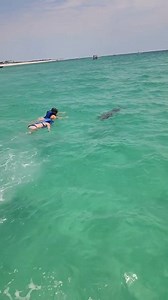Given a safe opportunity we get to do this! It doesn't always happen like this but when it does uts magical! #florida #dolphins #panamacitybeachflorida #springbreak #march #nature #attraction #excursions #boattour | Shell Island Dolphin Tours LLC