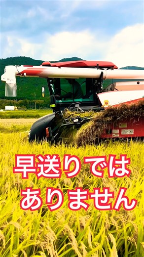 Kubota DR6130クボタの6条130馬力コンバインで刈り取り🏃‍♂️#kubota #harvester #harvesters #コンバイン #combine #農業 #農家 #割倒#割稲