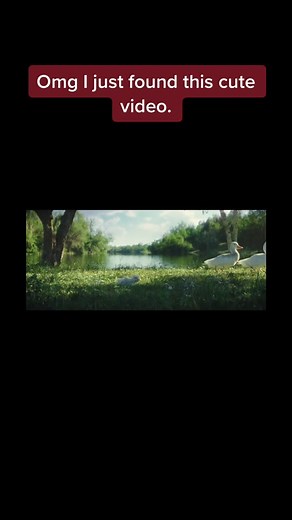 Exploring the Magic of Disney Parks with Donald Duck