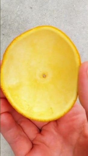 Candle Wonderland: Create Your Own Magical Candles! 🕯️✨