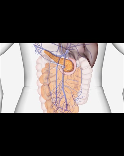 Your gut is not just digestion. It’s an immune orchestra. The gut...