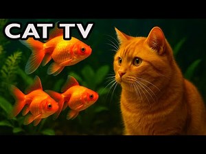 Cat TV Aquarium LIVE 🐟 Real Fish for Cats to Watch (No Music, 4K)