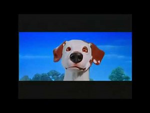 nickelodeon movies 2002 (dog) (widescreen)