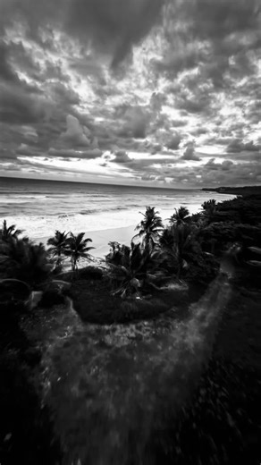 Understanding the Lyrics of Timbaland's Apologize