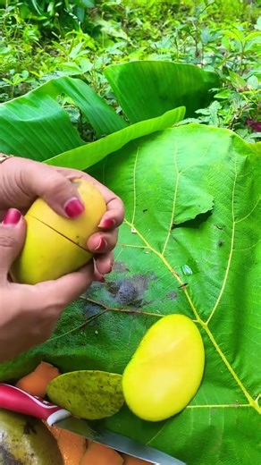 Mangga mini #viralvideo