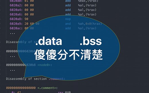 C 与汇编 (11) .data vs .bss,汇编级别解析
