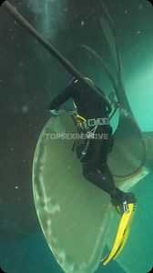 13K views · 283 reactions | The 5 dangerous jobs in the world #top5 #dangerous #jobs | Top5expensive | Facebook