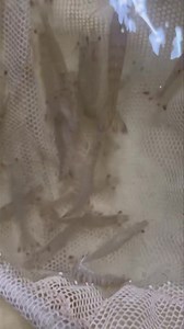 11 shares |  South Bay Marina Update!  We’re loaded up and ready...