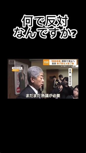 国旗損壊罪に岩屋氏反対表明#youtube #youtubeshorts #チャンネル登録お願いします #政治 #ニュース #政治ニュース #自民党 #国旗 #おかしい