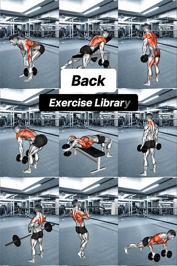 Endomondo on Instagram: "Unlock Your Strongest Back: Explore Our Comprehensive Back Exercise Library! 🏋️‍♀️ ✅SAVE THIS FOR LATER🔥! ✅SAVE/SHARE to add to your routine ➖➖➖➖➖➖➖➖➖➖➖ Choose 4-5 exercises in the list to incorporate in your Pull Day Workout 1️⃣ Single-Arm Dumbbell Row: 3-4 sets of 6-8 reps 2️⃣ Chest Supported Dumbbell Row: 3-4 sets of 6-8 reps 3️⃣ Romanian-Deadlift: 3-4 sets of 6-8 reps 4️⃣ Bent Over Dumbbell Row: 3-4 sets of 6-8 reps 5️⃣ Dumbbell Pullover: 3-4 sets of 6-8 reps 6️⃣ D