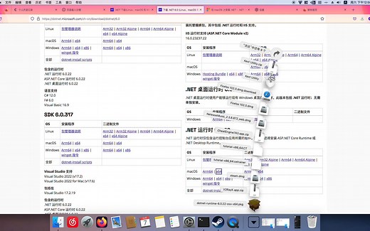 tModLoader 1.4在MAC系统中安装