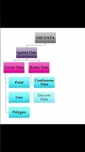 GIS DATA TYPES #gis #spatialdata #digitization