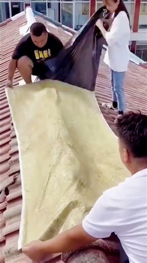 The Ultimate Roof Protection Hack! 🛠️ #shorts