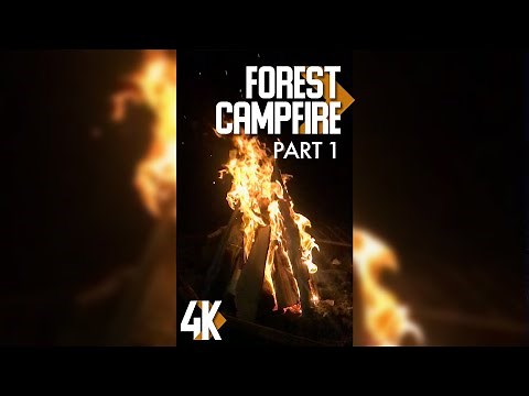 3HRS of Relaxing Forest Campfires for Tablets & Phones - 4K Vertical Screen Video + Fire Sound #1