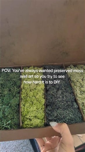 DIY MOSS Wall Art #moss #mosswall #wallart #diy #preservedmoss #artproject #plantmom #plants