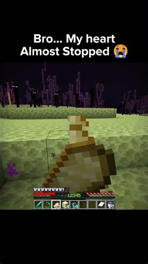 bro ..my heart almost stopped #minecraft #gaming