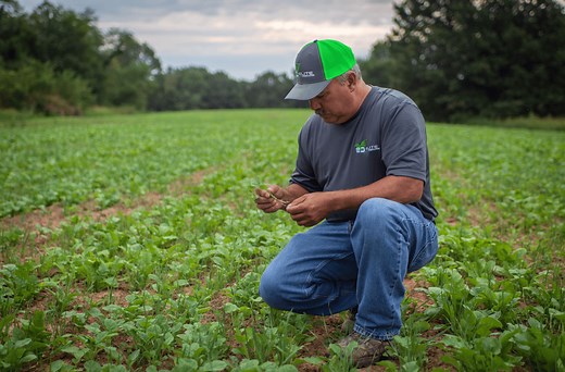 Elite Hunting Blinds for bucks and whitetail