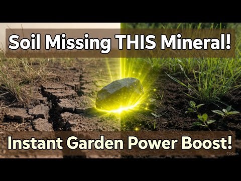 Unlock Soil Power with Rock Dust | The Mineral Trick Your Garden Is Begging For