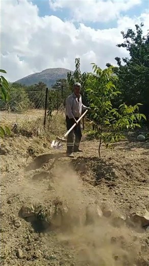 #shortvideo #shoets #short #shortsfeed #shortsyoutube #shortstory #shortsindia #shortsfunny #kesvet