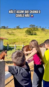 NÃO É CACHORRO🤦🏻‍♀️#shorts #humor #viralshorts