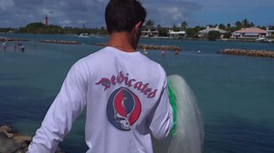 Cast netting hundreds of fish for my saltwater pond! *Feeding*