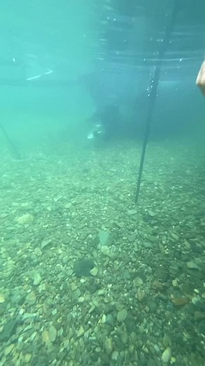 Power-Pole on TikTok