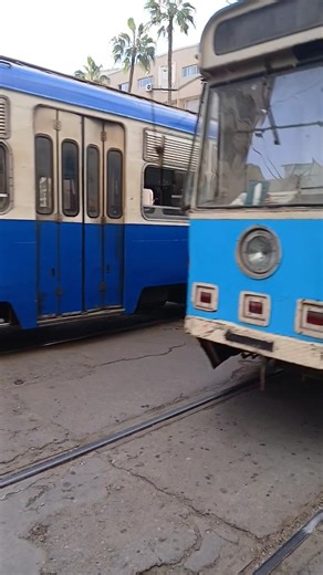 ترام الرمل فيديو قصير ج٤٦٨ |Tram el raml short video p 468