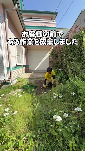 草刈り＋草取りサービス｜高品質な雑草処理で細部まで丁寧に