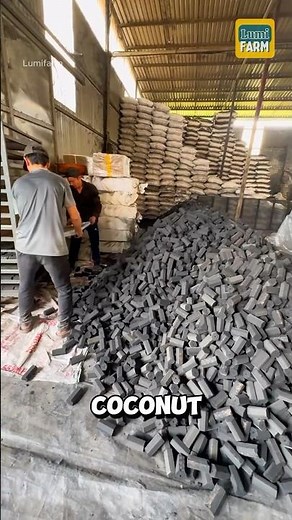 How do Vietnamese people turn coconut shells into charcoal? #charcoal #shorts