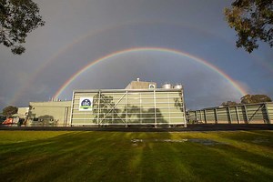 The Plant - UDC Milk