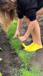 Ne jetez pas les gants en caoutchouc céchirés ! Voici comment les réutiliser ! | Brico Sympa