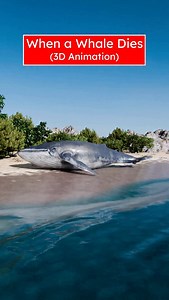 Blue Whale Death = Feast (3D) by Professor Of How | Professor Of How