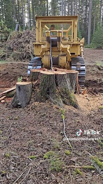 Stump Splitting #loggingislife | Logging Videos