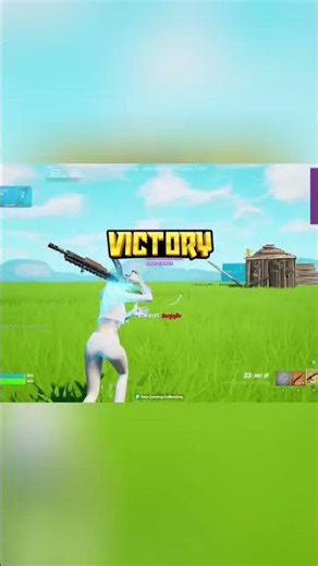 Insane Fortnite Snipe